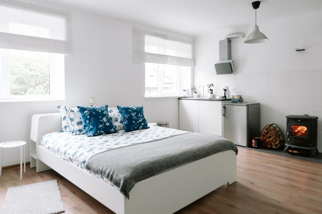 Lake Aluksne Studio Apartment Kültér fotó